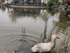 -西安锦江国际酒店·柏林咖啡西餐厅