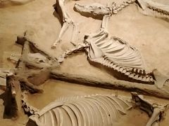 -洛阳周王城天子驾六博物馆