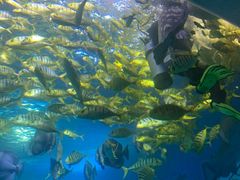 -太平洋海底世界