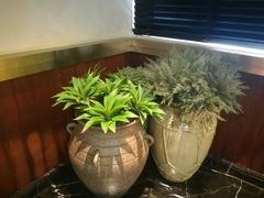 -半岛翡丽海鲜自助餐厅(观风亭店)