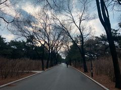 -北陵公园