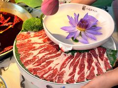 -小龙翻大江文化火锅(宽窄店)