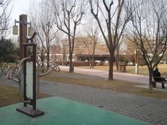 -唐城墙遗址公园