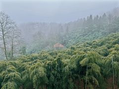 -莫干山风景区
