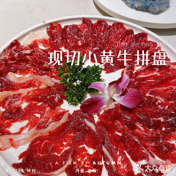 蜀九香 | 中国十大火锅品牌 | 地道川渝味