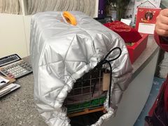 -爱侣宠医·鹦鹉专科·小型哺乳类·异宠专科(灵石路店)