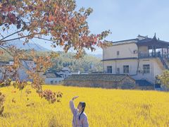 -塔川景区