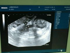 android_upload_pic-甄爱宠物医院(疏影路店)