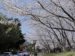 -浙江大学(玉泉校区)