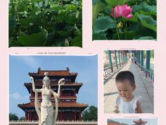 -南戴河国际娱乐中心