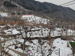 -吉姆冒险世界(蓟州店)