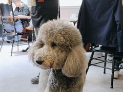 -沏点Trattoria意大利餐厅(新街口店)