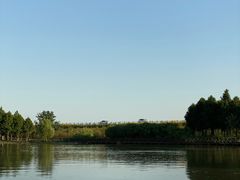 -合肥滨湖国家森林公园