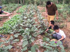 -白鹭湾湿地公园