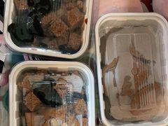 -春风松月楼(七宝万科店)