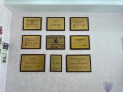 -香薇妮丝·定制减肥·身材管理