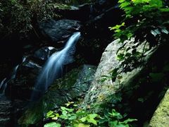 -南岳衡山风景名胜区