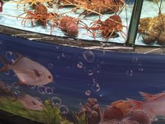 -食鼎记海鲜大排档(美食街店)