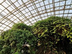 -盛泰恐龙谷温泉