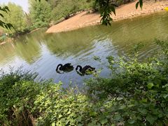 -长白岛森林公园