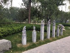 -思念果岭悦温泉