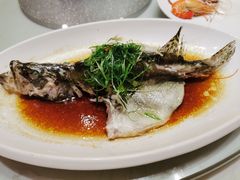 桂花鱼-顺丰轩园林酒家(天河店)