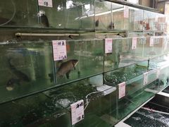 -祈胜邨•顺德鱼生•顺德菜(容桂店)