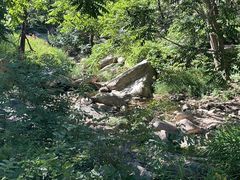 -黑龙潭风景区