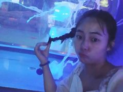 -石家庄极地海洋世界