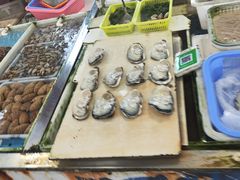 -大湾区中央湿地公园-十九涌