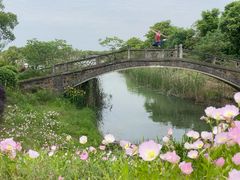 -苏州太湖国家湿地公园