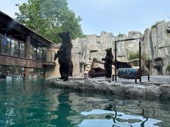 -上海野生动物园