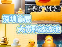 -皇庭广场(福华三路店)