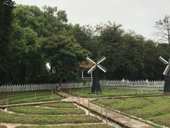 -晓港公园