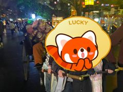 -郑州方特梦幻王国