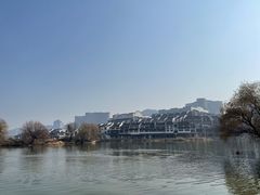 -长兴太湖图影湿地文化园