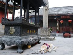 -五台山风景名胜区-罗睺寺