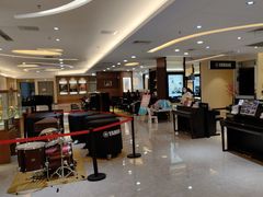 -知音艺术教育培训·钢琴培训·音乐培训(河西金鹰世界校区)