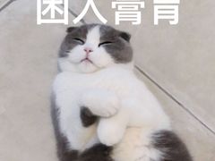 -布丁酒店(苏州唯亭青剑湖商业中心店)