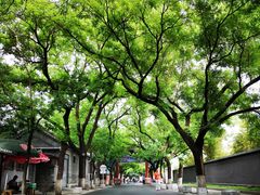 -北京国子监胡同