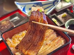 -料亭菊水楼
