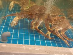 -新丁香海鲜酒店(银海商贸城店)
