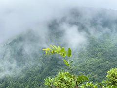 -南岳衡山风景名胜区