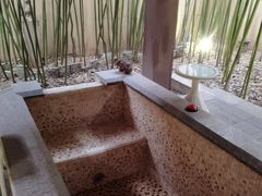 -春晖园度假酒店温泉