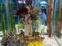 -太平洋海底世界