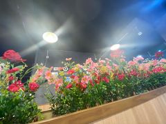 -大鼎石锅鱼(春江里店)
