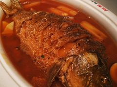 红烧黄河鲤鱼-阿五黄河大鲤鱼(英协路店)