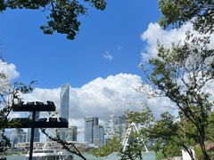 -金鸡湖桃花岛