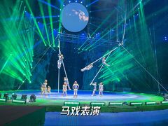 -灵玲国际马戏城