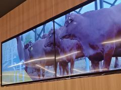 -太二酸菜鱼(石家庄万象城店)